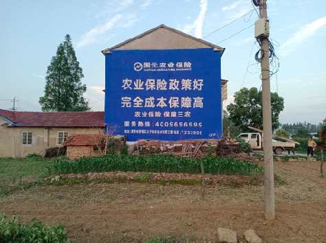  南靖县墙体广告的优劣势你知道吗？